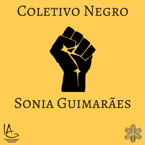 Logo do Coletivo Sônia Guimarães